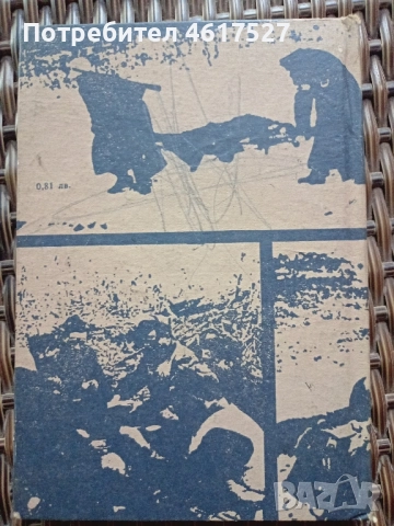 Радой Ралин Войнишка тетрадка, снимка 3 - Българска литература - 52294079