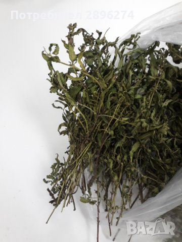 Сух джоджен 10гр. Див джоджен(дива мента) 10гр. Маточина. Мента. Листа орех. Чубрица. Листа копър. 