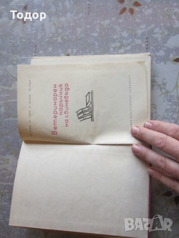Книга Ветеринарен наръчник на свиневъда 1967 г , снимка 2 - Специализирана литература - 32567193