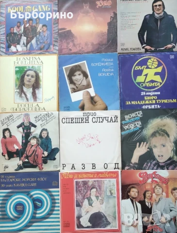 Дългосвирещи грамофонни плочи, снимка 9 - Грамофонни плочи - 50421166