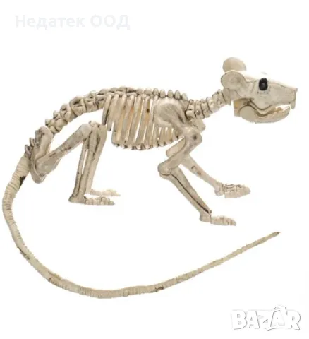 Реалистичен скелет,  Хелоуин, мишка, бял, 20 см, снимка 4 - Декорация за дома - 47606595
