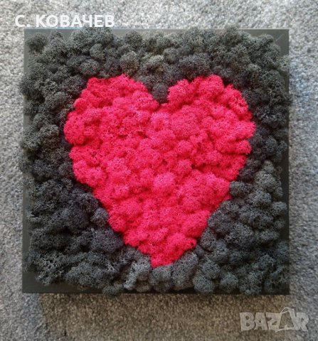 Уникални, модерни,свежи живи картини от естествен мъх.Градина в дома, снимка 2 - Декорация за дома - 19336040