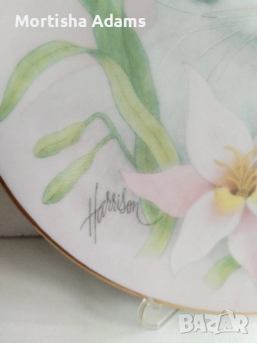 Декоративна чиния- коте, снимка 2 - Колекции - 52118180