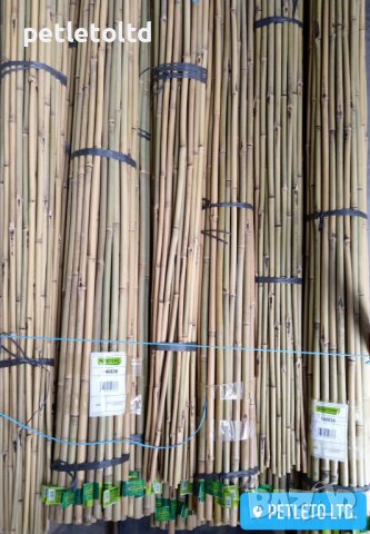 Бамбукови колчета Ф 16 мм - Ф 18 мм / 2,10 метра, снимка 3 - Разсади - 36886966