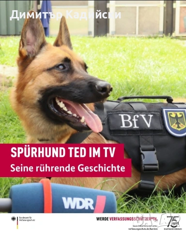 Разхождане на кучета