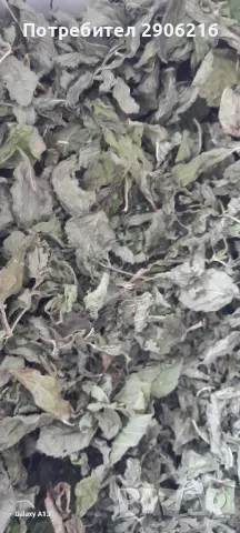 Сушен джоджен, снимка 1