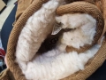 UGG боти номер 32.5, снимка 2