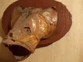 Стар риболовен трофей, снимка 5