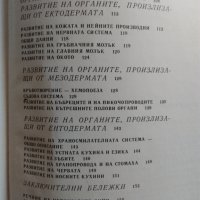 Книги по биология "Тайните на клетката" и "От яйцето до възрастния организъм", снимка 15 - Специализирана литература - 28034925