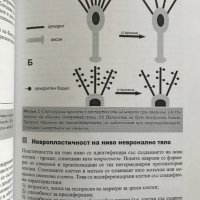 Нелинейност и невропластичност в психиатрията Георги И. Попов, Антон Б. Тончев, снимка 3 - Специализирана литература - 38723930