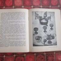 Руска книга Албум Пол Гоген 1965 г, снимка 5 - Специализирана литература - 37058187