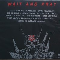 Insane – Wait And Pray, снимка 2 - CD дискове - 43094293