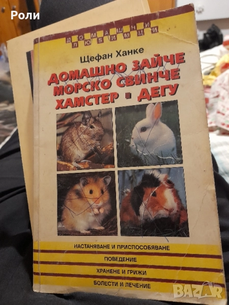 Домашно зайче; Морско свинче; Хамстер; Дегу Щефан Ханке , снимка 1