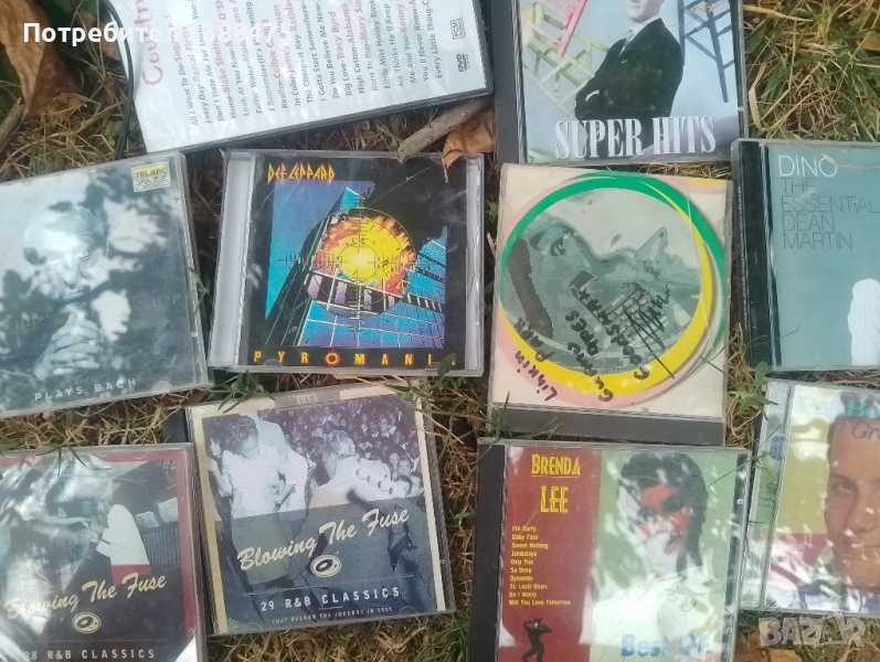 сд, снимка 1