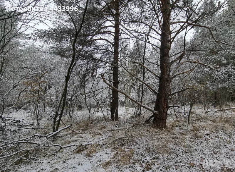 Продава ПАРЦЕЛ до в.з. Ярема, снимка 1