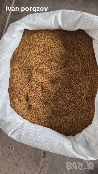 Семе люцерна по договаряне, снимка 1