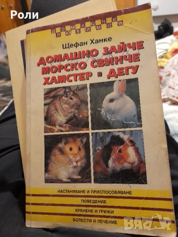 Домашно зайче; Морско свинче; Хамстер; Дегу Щефан Ханке 