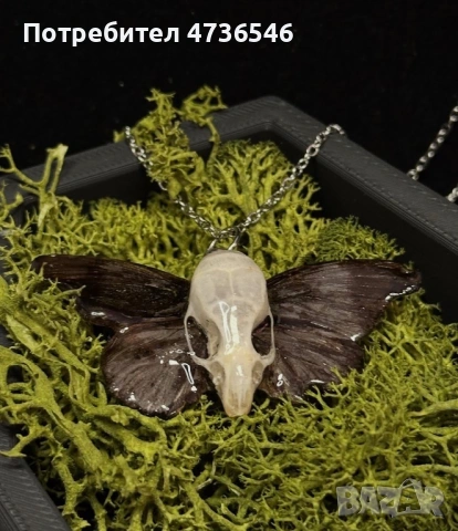 Медальон с пеперуда и череп от мишка