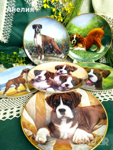 Колекционерски чинии Боксер