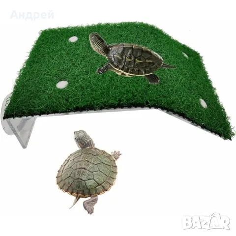 Костенурка( ocadia reevsii ), снимка 4 - Костенурки - 50312940