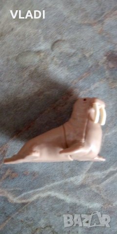 Морж, снимка 1