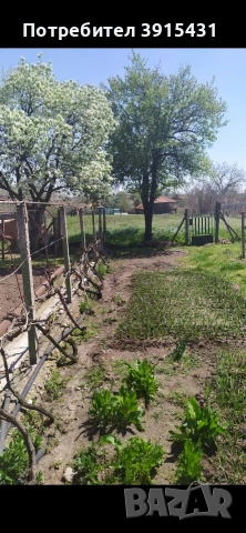 Продавам къща в с. Бяла река, общ. Първомай, обл. Пловдив, снимка 8 - Къщи - 53439741