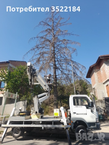Услуги с автовишка рязане и кастрене на опасни дървета , снимка 2 - Индустриална техника - 52105507