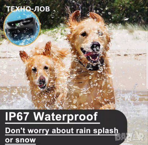 ЕЛЕКТРОНЕН НАШИЙНИК ЗА КУЧЕ КАИШКА С ТОК ВИБРАЦИЯ ЗАПИСВА ВАШИЯ ГЛАС, снимка 16 - За кучета - 32722847