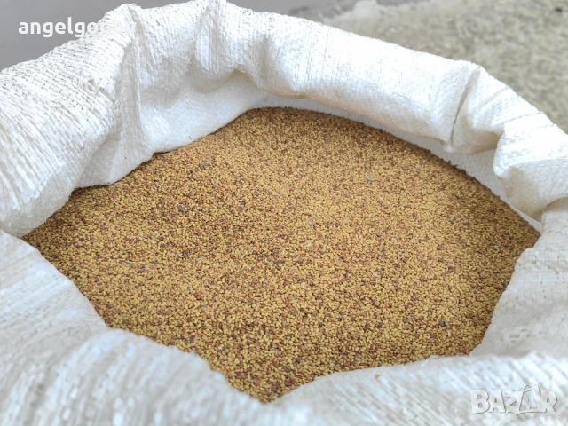 Люцерно семе