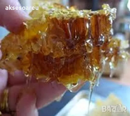 Продавам фиданки от медоносното дърво на пчеларя Еводия Даниели разсад дръвчета Еводиа за медосбор, снимка 16 - Разсади - 49271516