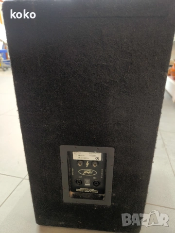Професионална тонколона Peavey 12, снимка 6 - Тонколони - 53417987