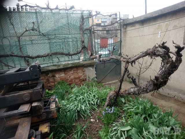 Лоза става за декорация за игра и катерене на котки , снимка 10 - Други стоки за дома - 32531302