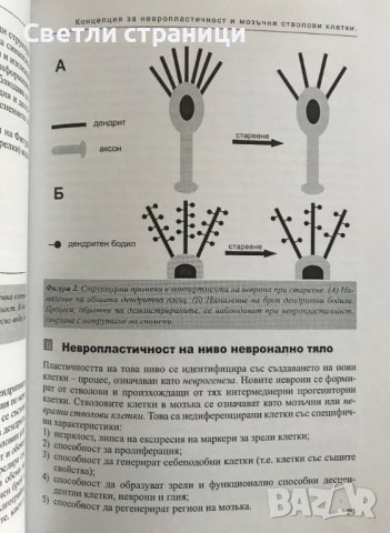 Нелинейност и невропластичност в психиатрията Георги И. Попов, Антон Б. Тончев, снимка 3 - Специализирана литература - 38723930