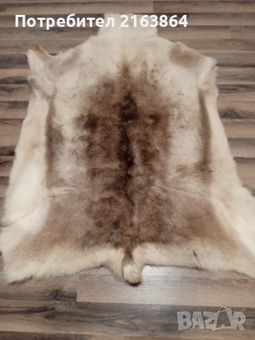 кожа от северен елен, снимка 4 - Декорация за дома - 52728867