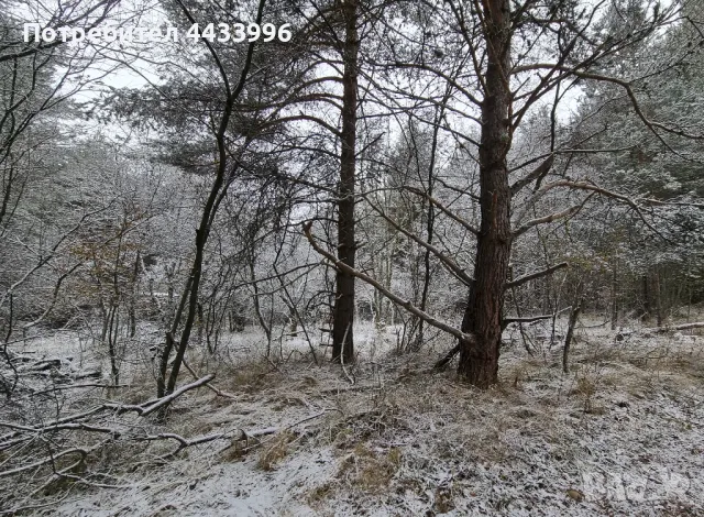 Продава ПАРЦЕЛ до в.з. Ярема, снимка 1