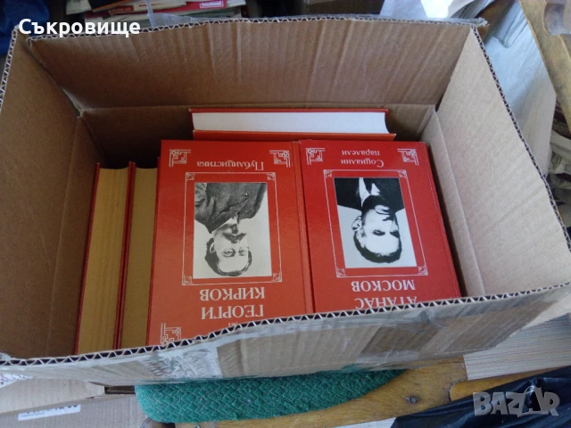 Библиотека "Социални идеи" в 14 тома с твърди корици, снимка 18 - Българска литература - 51395539