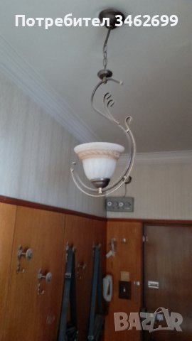 Красив полилей 2броя