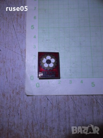 Значка "Пловдив - 1970", снимка 2 - Други ценни предмети - 26469054