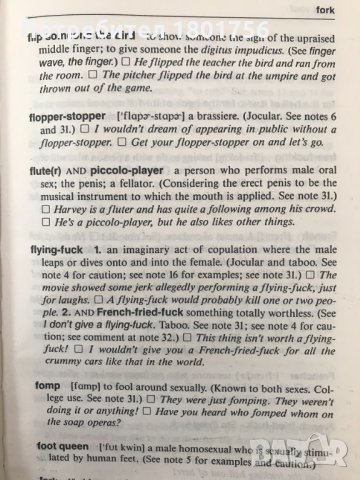 Forbidden American English - A Serious Compilation of Taboo American English, снимка 3 - Чуждоезиково обучение, речници - 28648660