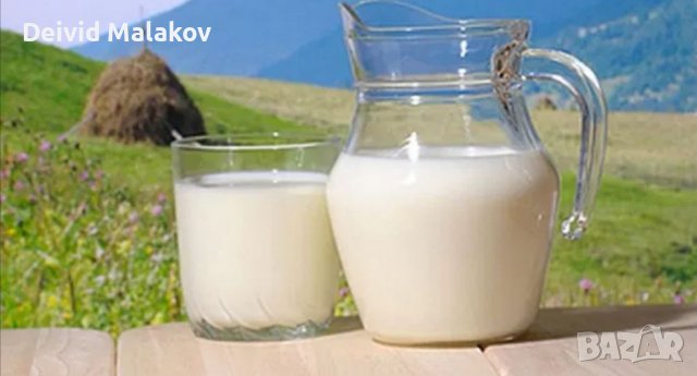 Мляко директно от производителя 🐄🐄🐄