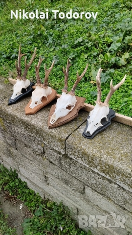 Трофей от сръндак, снимка 7 - Други - 52672901