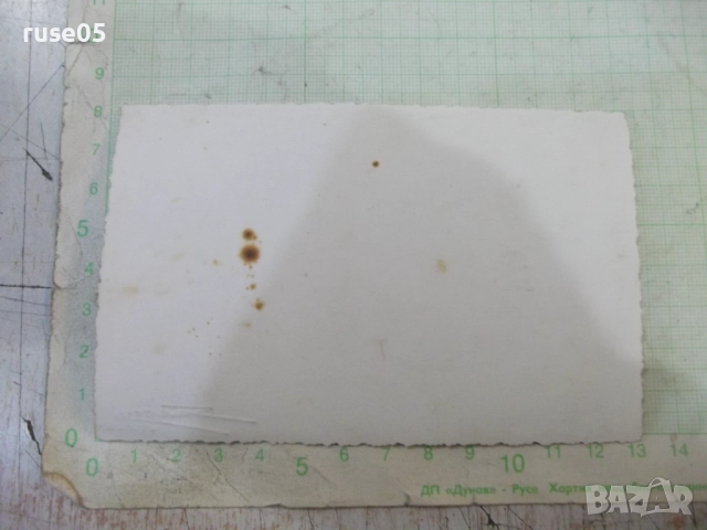 Снимка групова от сватба стара, снимка 2 - Колекции - 52021285