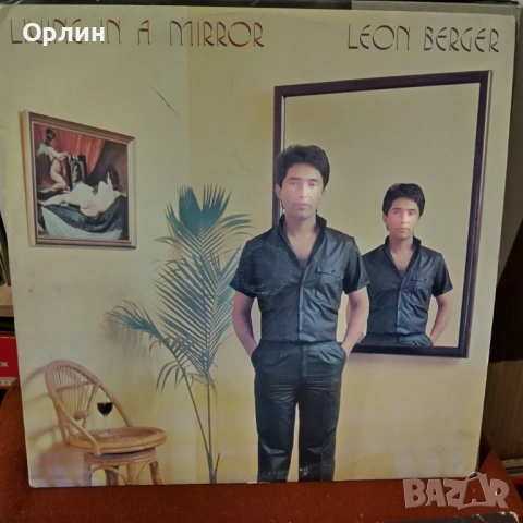 Грамофонни плочи - 5, снимка 5 - Грамофонни плочи - 53248373