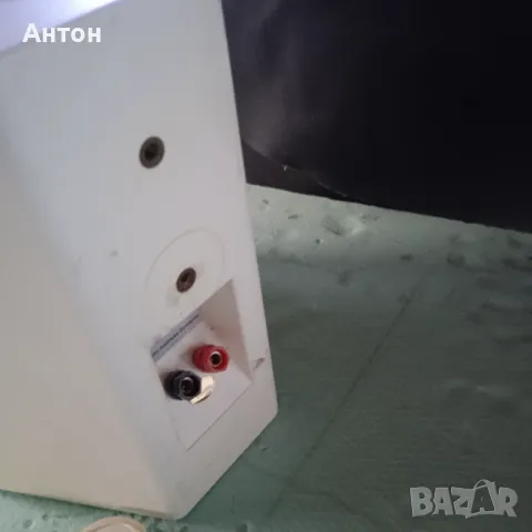 Тонколони Blue Whale-BS-1060T, снимка 4 - Тонколони - 47481847