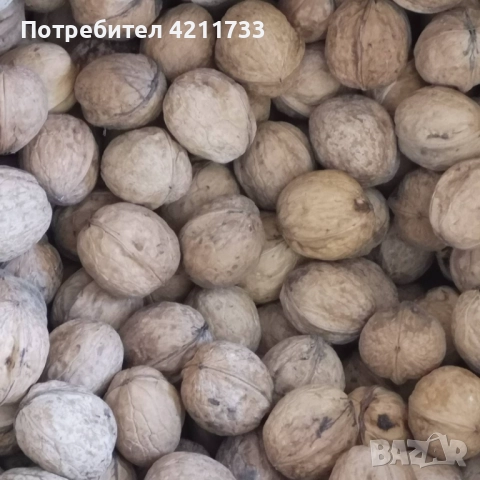 орехи на черупка