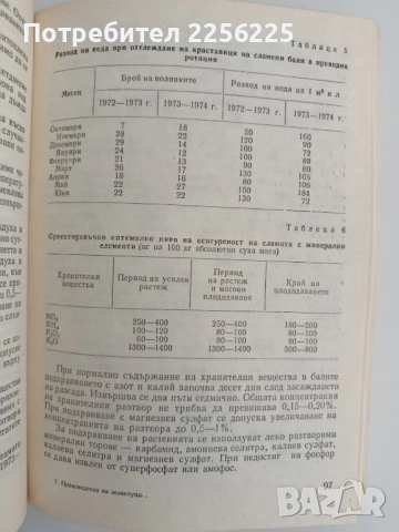 Производство на зеленчуци в оранжерии, снимка 5 - Специализирана литература - 51642396