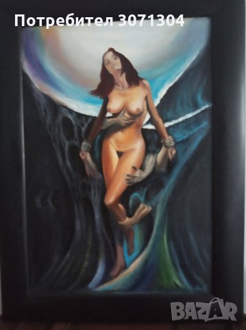 Пленена, снимка 2 - Картини - 33085724