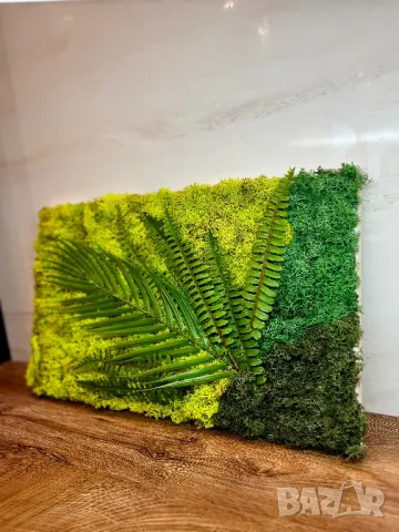  “Тропически оазис” със скандинавски мъх, снимка 2 - Декорация за дома - 49848838
