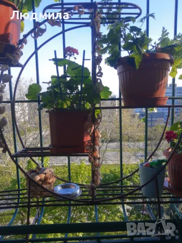 Цветарник,ковано желязо на няколко нива,грундиран и боядисан , снимка 5 - Градински мебели, декорация  - 50096264