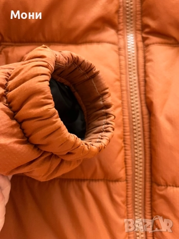 Преходно Яке Dickies, снимка 5 - Якета - 52385976